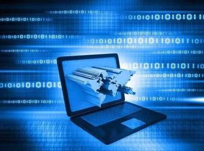 窺國內IT生態體系 一花一世界，互聯網信息服務的無限可能